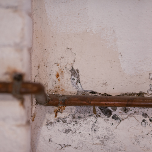 Mold health impact in Watkinsville GA crawl space
