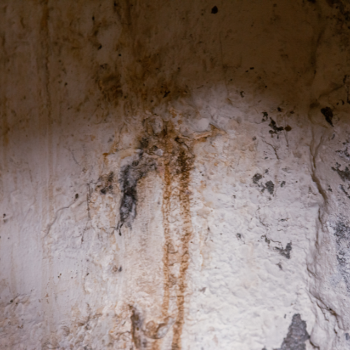 Signs of Crawl Space Problems