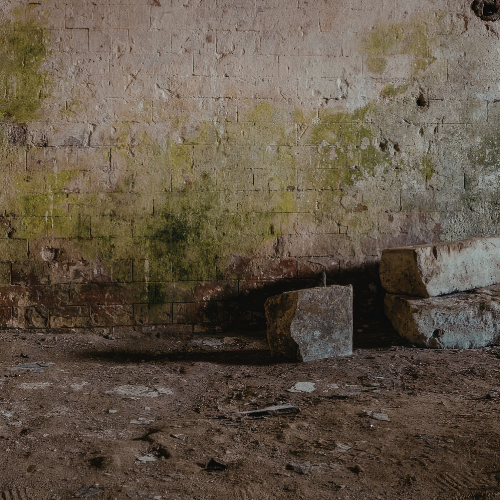 Areas where mold commonly grows in Winder GA crawl spaces